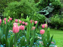 Philly Flower Show on Win Free Tickets To The 2013 Philly Flower Show   One News Page